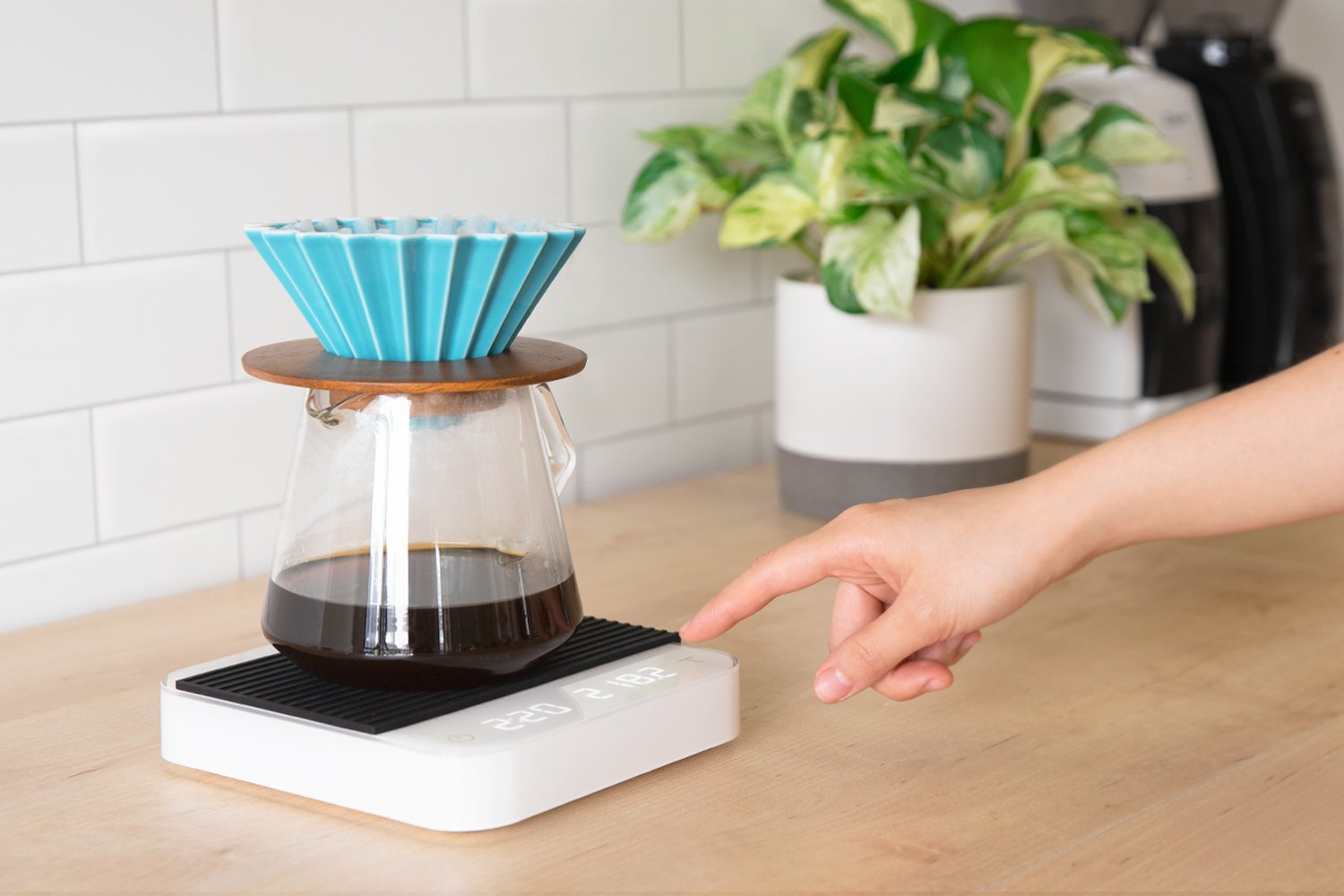 Acaia Pearl Digital Scale with Bluetooth (Firmware Option A) – Monocacy  Coffee Co.