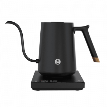 smart electric kettle